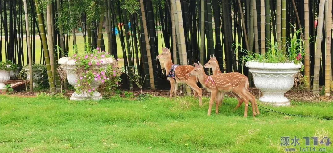下周重磅日程:可能是近期最猛的“风险周”来了